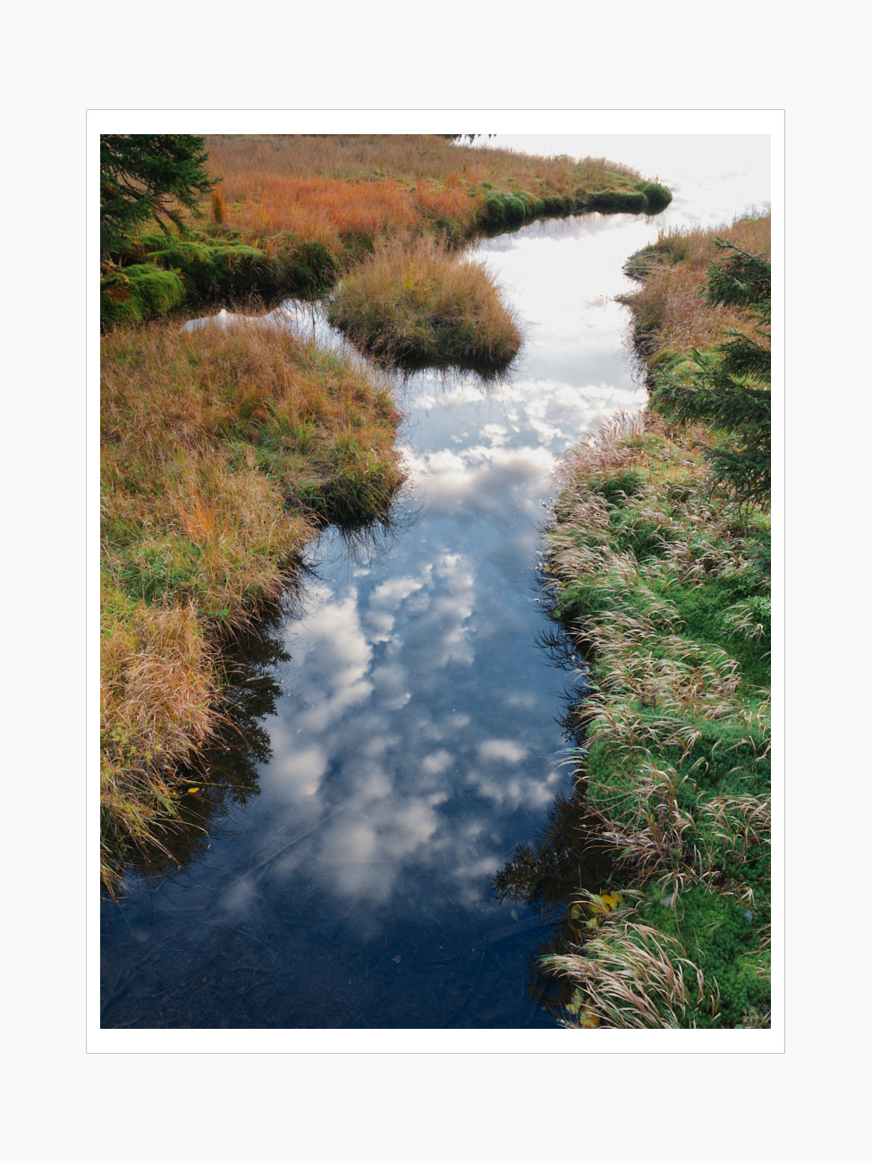 Max Schiefele Alle Bilder  DSF4169